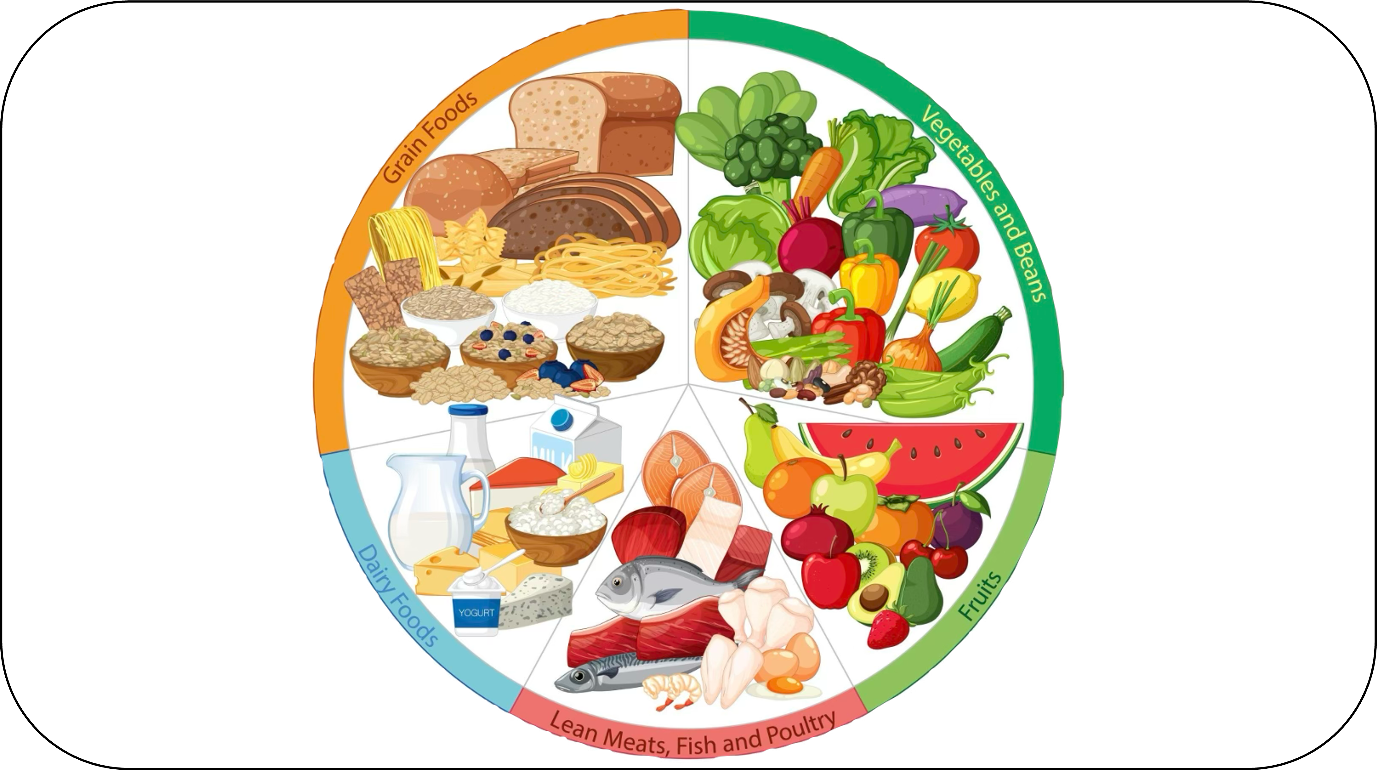 ¿Qué dificultades conceptuales e ideas sobre alimentación tienen los estudiantes de Educación Primaria?