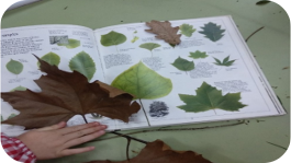 El cuaderno de campo como eje del aprendizaje de naturaleza cercana en Educación Infantil