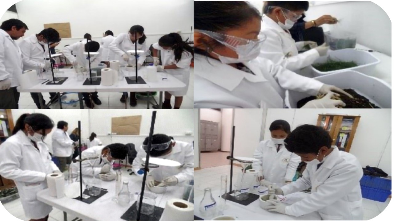 Teacher’s role and scientific inquiry: Analysis of an experience about pests in a Chilean rural school