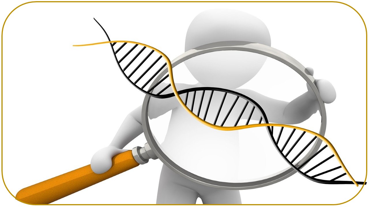 Análisis de los contenidos de Genética en las pruebas de acceso a la universidad (2010-2019)