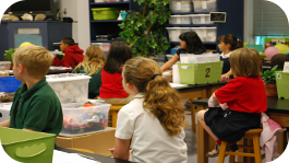  Postulados éticos para um ensino ambiental em sala de aula: Enfrentando o ceticismo: responsabilidade educacional, responsabilidade política