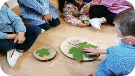 Empleando elementos naturales para la vinculación ambiental en educación infantil en una escuela rural multigrado
